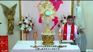 DAY - 4, Marian Apparitions & its Messages