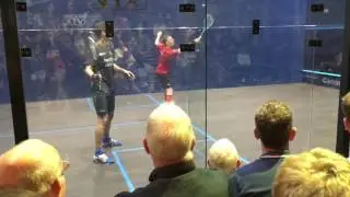 Squash - 2017 Canary Wharf QF's - Matthew vs Pilley