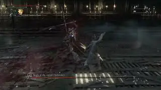 Maria cane run
