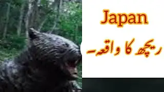 🚗 We Drove a Sports Car to Japan&rsquo;s Deadliest Bear Attack Site (Sankebetsu Incident) 🐻 |