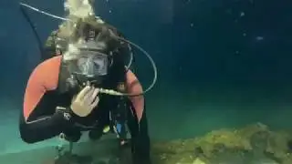 Research Diving in the Gulf of Mexico