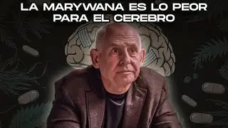 Cannabis y Cerebro: Efectos Seg&uacute;n la Ciencia