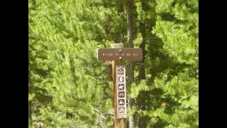 Flag Creek Trail (Up), Taylor Park, CO 4K