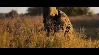 Кислород [DARI film, Февральский Взгляд]