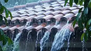 Powerful Heavy Rain with Thunder Sounds on Tin Roof