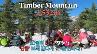 Timber mountain(2,532m)/Icehouse Canyon