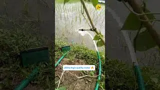 200w solar pump 12v Dc 🔥 | 3000L / hours water flow 💦😳 #3dmetalpump #solarpump