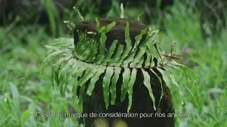 MAI TAHITORA - Rai KAIMUKO