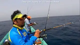 Can you Catch Fish Using a Simple Mechanic Spanner? Pilot Whale and Dolphin watch in Chennai