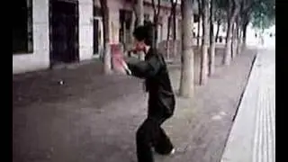 Shaolin Tai Zu Quan - Small Frame set 太祖拳小架
