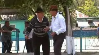 Glodenii gandului la referendum