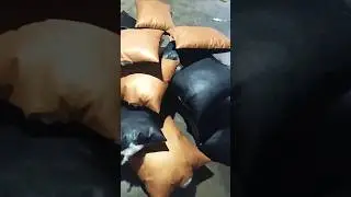 Takiya, Peelu Faipar,How to make a Takiya #views #sofa #shorts #reels #sofaset