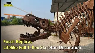 Lifelike Full T Rex Skeleton Decoration | Fossil Replicas