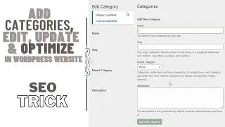How to Add Categories and Optimize them in Wordpress Website