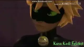 Sokak kedisi mucize uyarlama