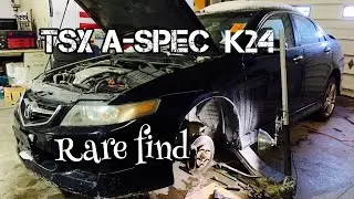 What special about acura tsx a-spec? || Pham&rsquo;s Legend