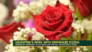 Watanabe Floral: Strengthening Your Love While Saving You Money