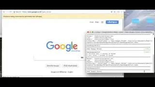 Selenium Open Chrome Browser