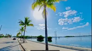 Island Drive Magic Scenic Route Through Key West.. Final Destination Flamingo Crossing Ice Cream