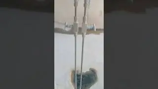 Steam flow meter