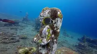 Dive on Tulamben's Coral Garden with Abyss Dive Center Bali