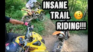 CRAZY TRAIL RIDING on my YZ250!!|I FINALLY WENT