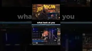 When joe Rogan lost his mind