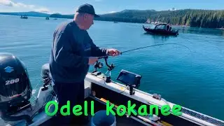 Odell lake Kokanee jig bite …..