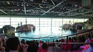 Shedd Aquarium Complete Aquatic Show