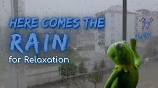 Here Comes the Rain for Relaxation | Rain Series | Ambient Sound | Lofi Beats | What Else Is There?