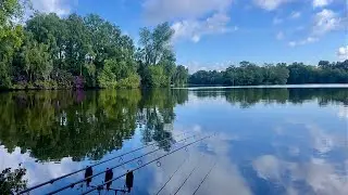 Carp fishing on shakerley mere for 2nights #carp #fishing #commoncarp #mirrorcarp