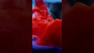 Animated Mobile Screen SL 37