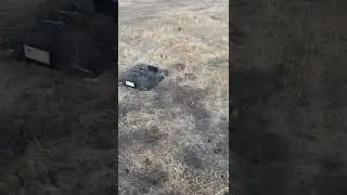 How to get rid of ground squirrels - Squirrelinator Trap