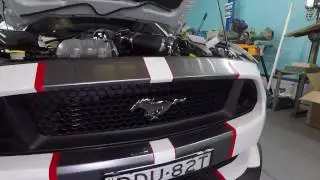 X-Lume illuminated Front Pony Badge
