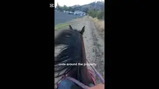 Rikkis very first playday 💗🐎 #equestrain #horse #barrelracing #fypシ゚viral #youtube