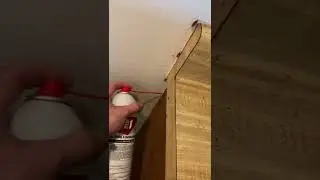 Cockroach treatment with shockwave