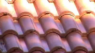 Bergman Gentle Soft-Wash Roof Cleaning-Port Charlotte-1st Coat