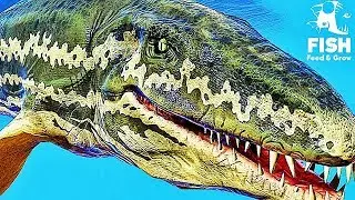 LE NOUVEAU POISSON LE PLUS PUISSANT DU JEU ! | Feed and Grow: Fish