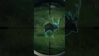 My first diamond Hog deer! #thehuntercallofthewild #thehunter #thehuntercotw