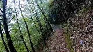 Trail running 