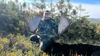 Newfoundland Moose Trip