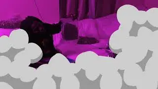 FTB Xano- Trappin Trappin' (Official Music Video)