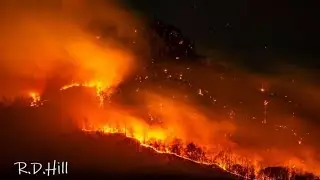 What caused the Pilot Mountain wildfire?