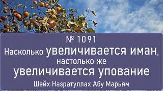 Насколько увеличивается иман, настолько же увеличивается упование