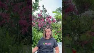 Beach Fitness & Wellness Retreat, Kos Island, Greece, testimonial video
