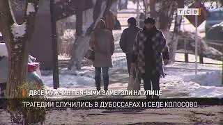 Двое мужчин пьяными замёрзли на улице