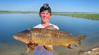 Snagging GIANT Carp in SHALLOW Water!! (PB Was Caught)