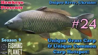 Fishing Planet S9 #24 - Dnipro River, Ukraine: Unique Grass Carp & Unique Common Carp Hotspot!