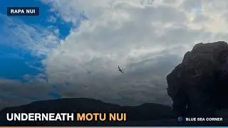 RAPA NUI. Motu Nui and Motu Iti diving. A brief story of the island.