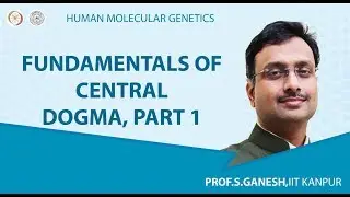 Fundamentals of central dogma, Part 1